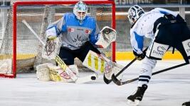 lvi 613017683 1286960743473338 306100996403300494 n